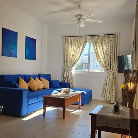 The Olive - Пейя