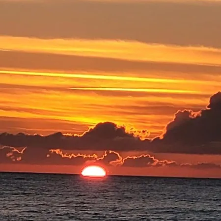 Apartman The Olive - *