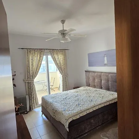 The Olive - * Péjia