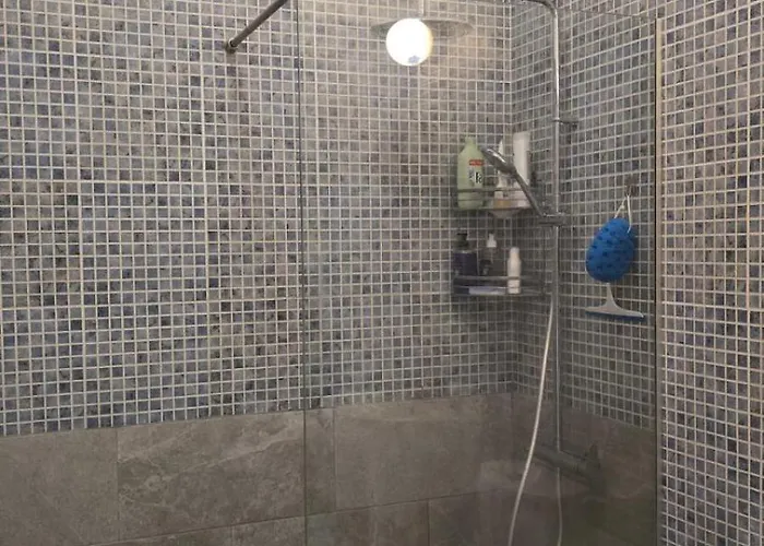 The Olive - ペイヤ