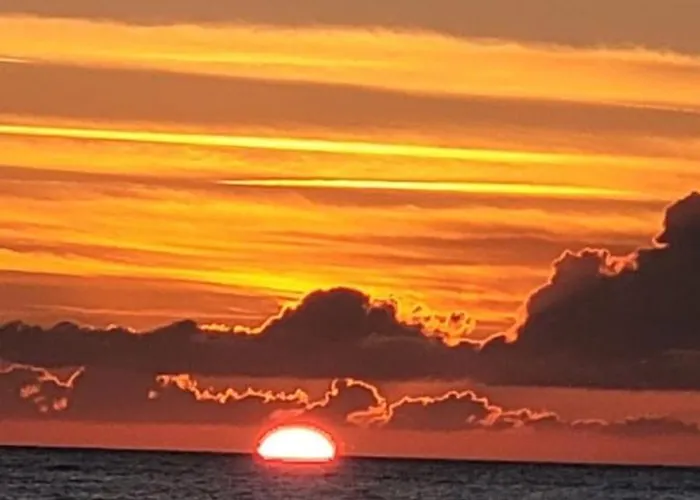 Lägenhet The Olive - *