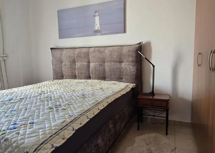 The Olive - ペイヤ