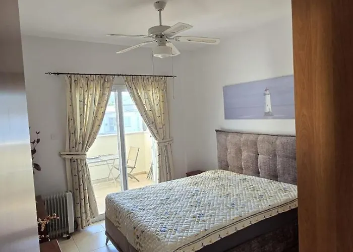 The Olive - * Pégeia